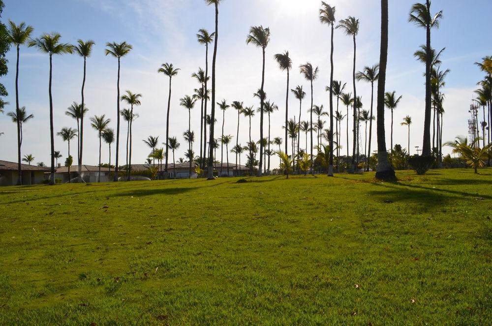 Rede Andrade Vela Branca Hotel เรซิเฟ ภายนอก รูปภาพ